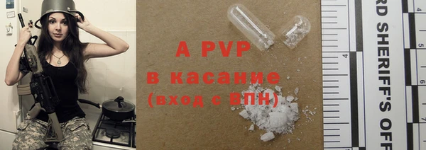 гидра Кодинск