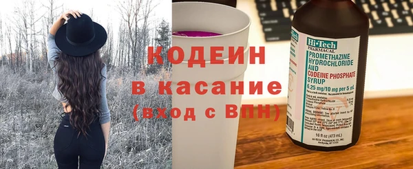 гидра Кодинск