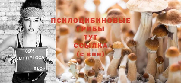 mdpv Корсаков
